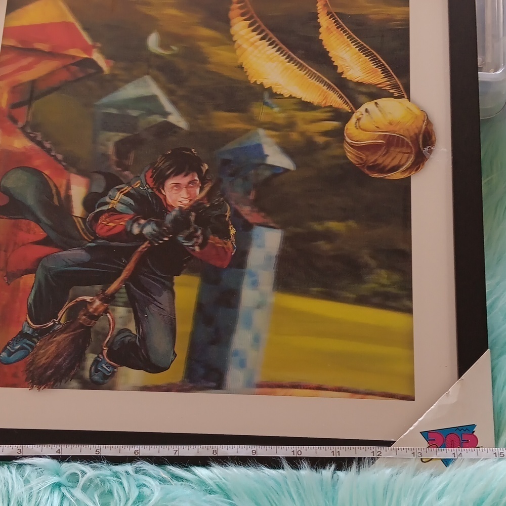 Harry potter framed ,picture flying Harry potter movement - Picture 6 of 9